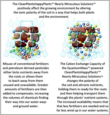 Cation Exchange Capacity Dynamics