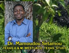 Dr. Mamoudou Setamou
