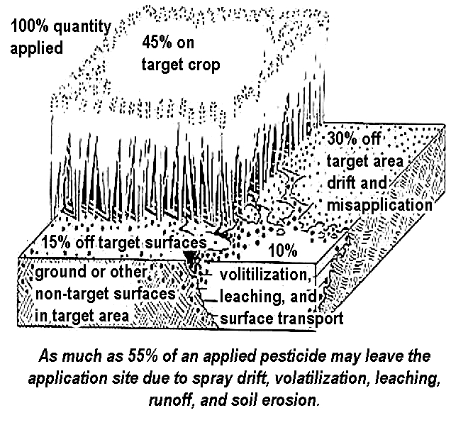 Click image to enlarge. Typical 55% loss of applied pesticides