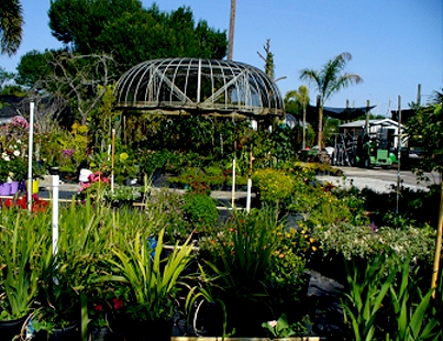 Powell's Nursery