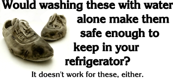 Would washing these with wwter alone make them safe enough to keep in your refrigerator?