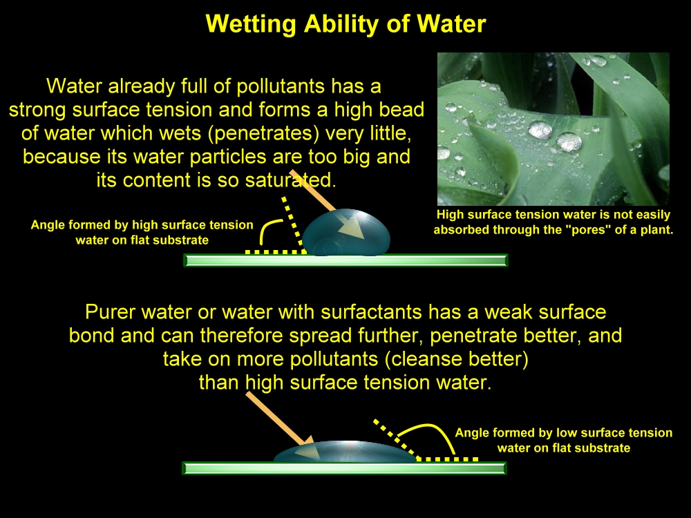 Click on image to enlarge. The Wetting Ability of Water