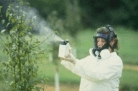 Poisonous spraying