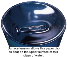 Surface tension can cause metal to float.