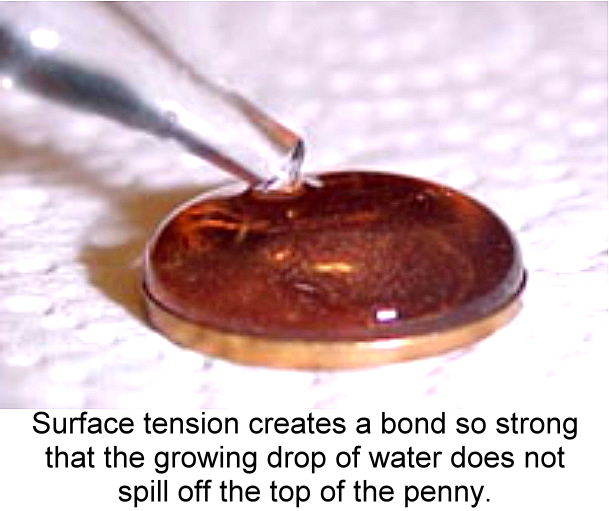 Click to enlarge image. Water stands up.